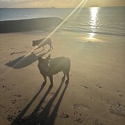 Brighton, Queensland, Australia