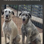 Rubyanna, Queensland, Australia