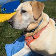 Christchurch, South West England, UK