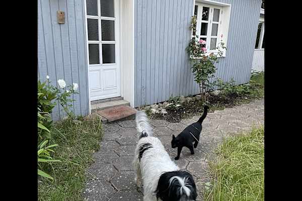 Humlebæk, Capital Region, Denmark