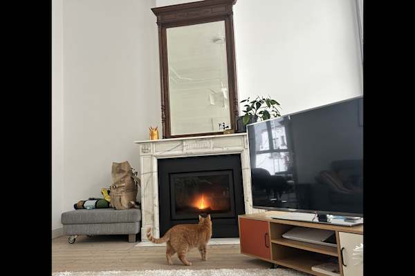 Antwerpen, Flanders, Belgium