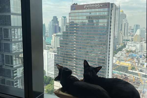 Bangkok, Bangkok, Thailand