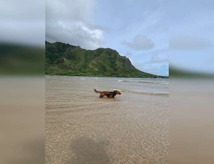 Hauula, Hawaii, United States