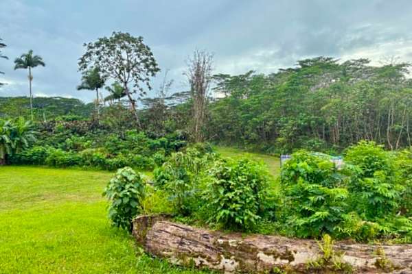 Pāhoa, Hawaii, United States