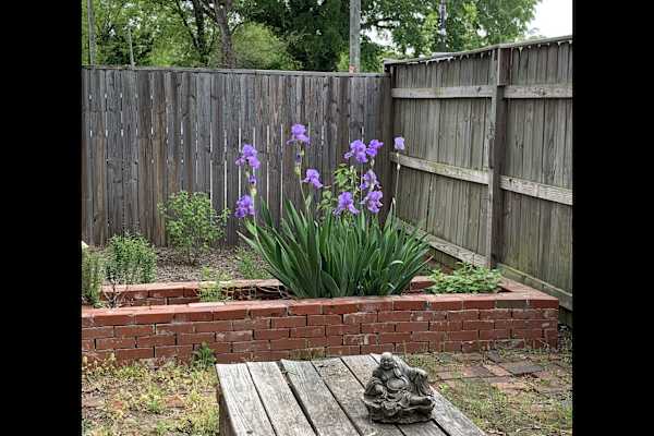 Richmond, Virginia, United States