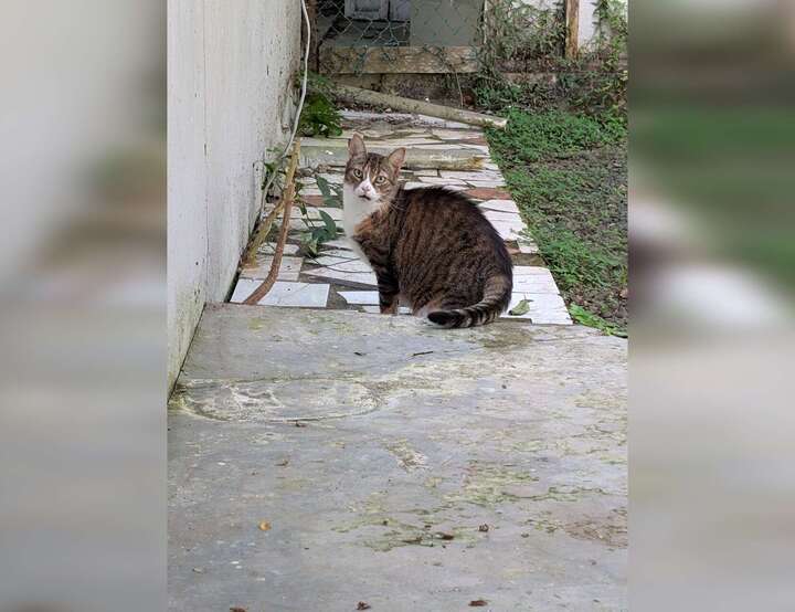 Cocles, Limón, Costa Rica