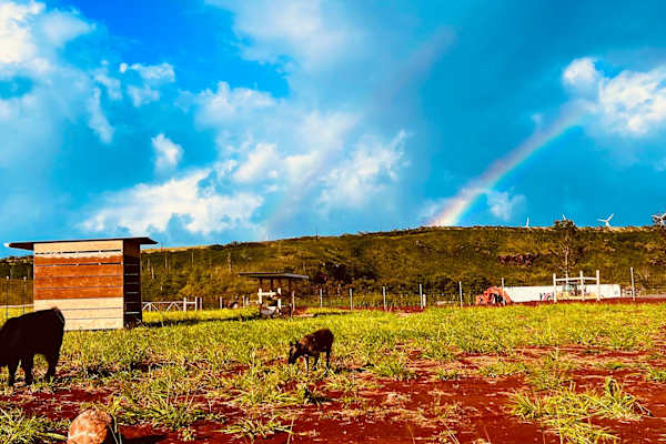Hale‘iwa, Hawaii, United States