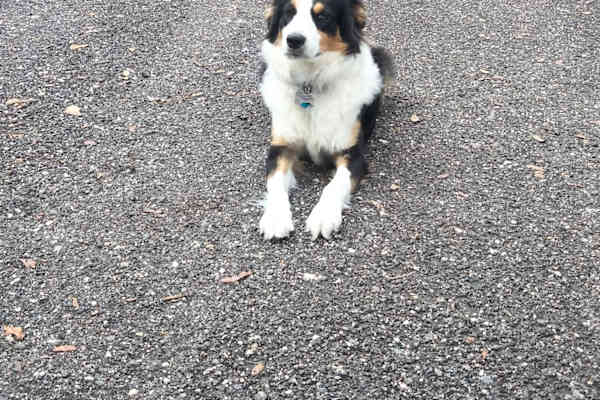 Brooksville, Florida, United States