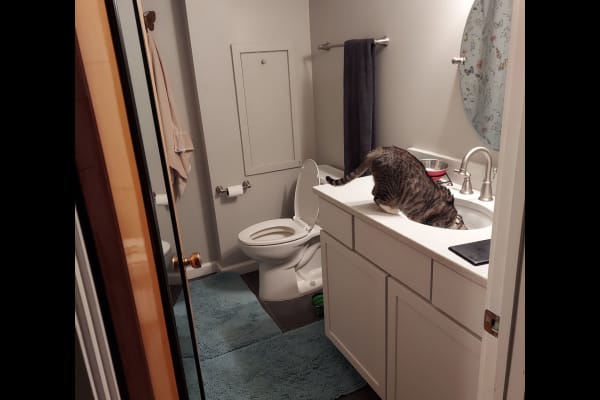 Vienna, Virginia, United States