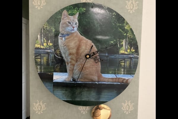 Dallas, Texas, United States