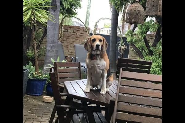 Perth, Western Australia, Australia