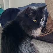 Eglinton, Western Australia, Australia