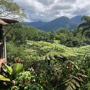Shannonvale, Queensland, Australia