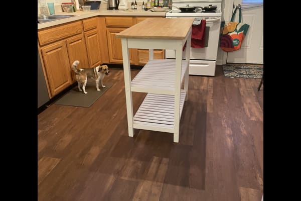 Asheville, North Carolina, United States