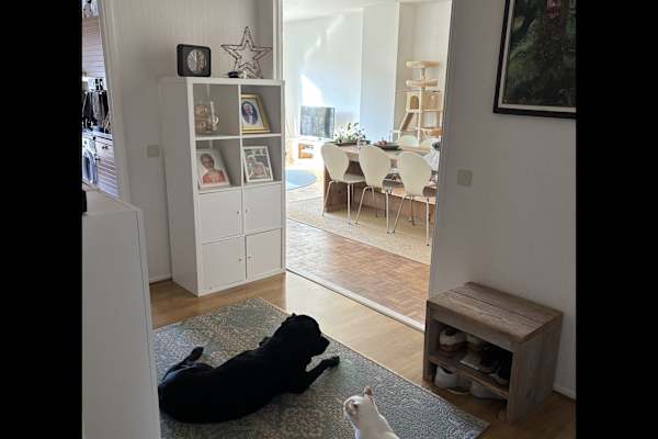 Antwerpen, Flanders, Belgium