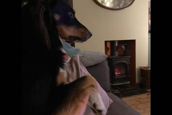 Cardiff, Wales, United Kingdom