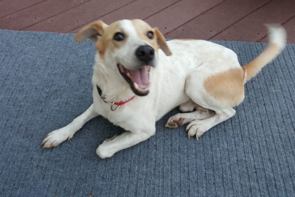 Alexandria, Virginia, United States