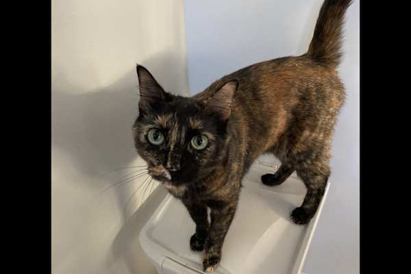 Portland, Oregon, United States