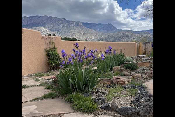 Albuquerque, New Mexico, United States