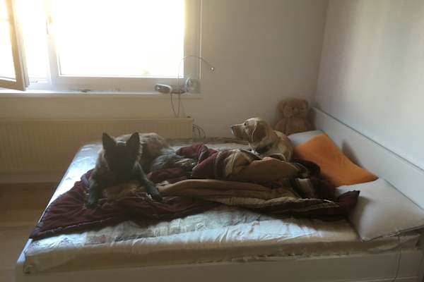 Vienna, Vienna, Austria