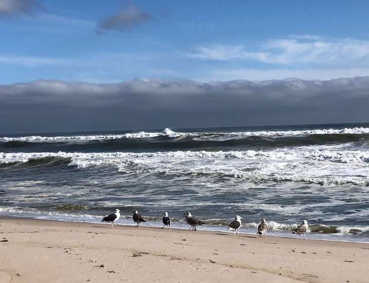 Westhampton Beach, New York, United States