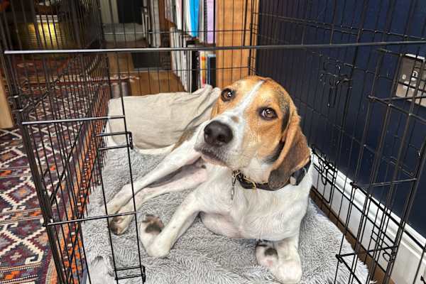 London, England, United Kingdom