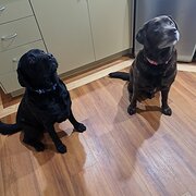 Coodanup, Western Australia, Australia