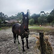 Keysbrook, Western Australia, Australia