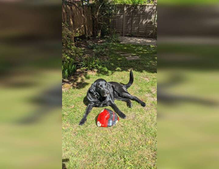 Headley, Bordon, England, United Kingdom