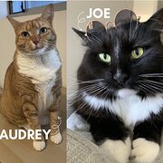 Chermside, Queensland, Australia