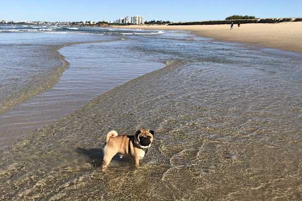 Chaweng Beach, Surat Thani, Thailand