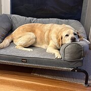 Willoughby, New South Wales, Australia