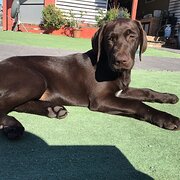 Green Head, Western Australia, Australia