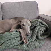 Black Rock, Victoria, Australia