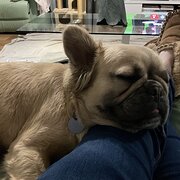 Lower Barrington, Tasmania, Australia