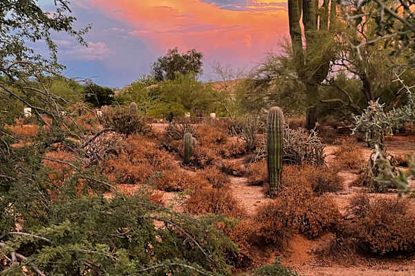Scottsdale, Arizona, United States
