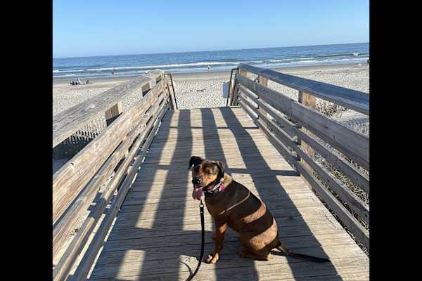 Folly Beach, South Carolina, United States