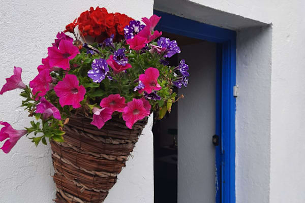 Lehinch, Munster, Ireland