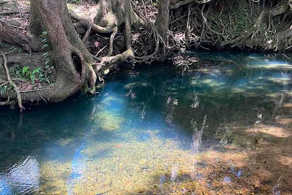 Billinudgel, New South Wales, Australia