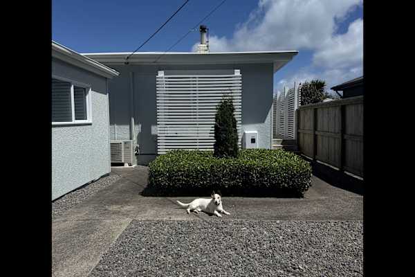 New Plymouth, Taranaki, New Zealand