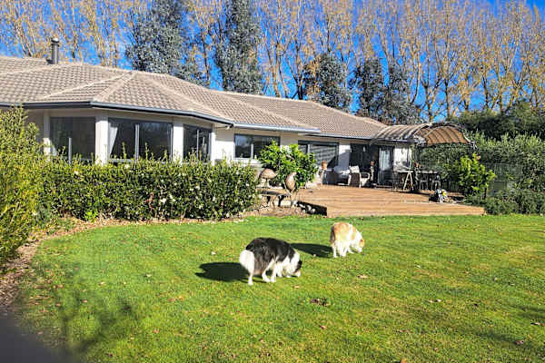 Masterton, Wellington, New Zealand