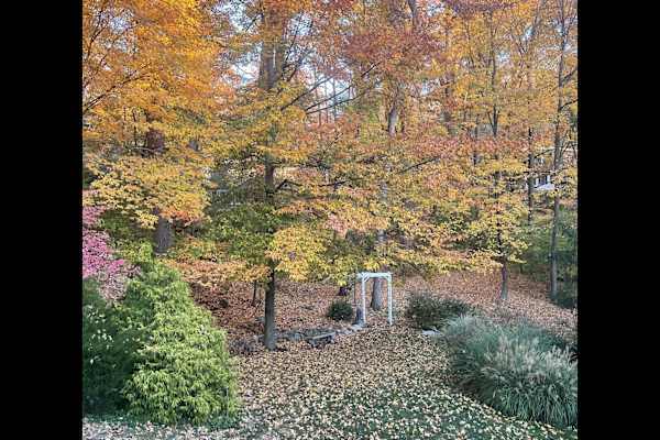 Ringwood, New Jersey, United States
