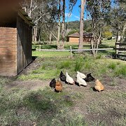 Fountaindale, New South Wales, Australia