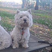 Benalla, Victoria, Australia