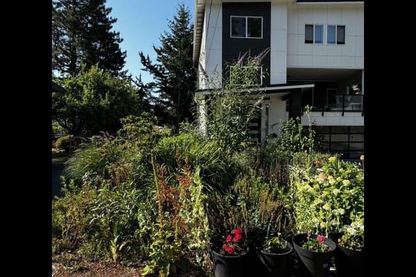 Seattle, Washington, United States