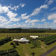 Mareeba, Queensland, Australia