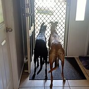 Ormeau, Queensland, Australia