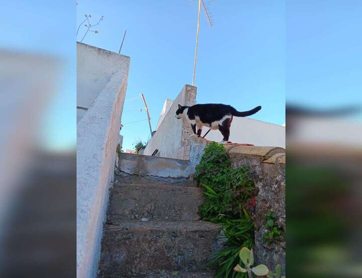 Portimão, Faro, Portugal