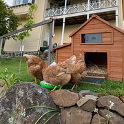 Trevallyn, Tasmania, Australia