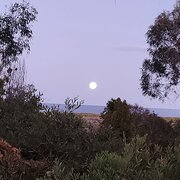 Scamander, Tasmania, Australia